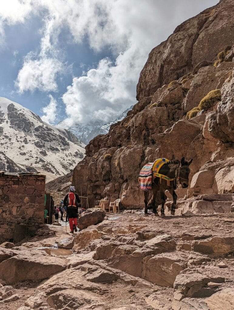 packages morocco tour