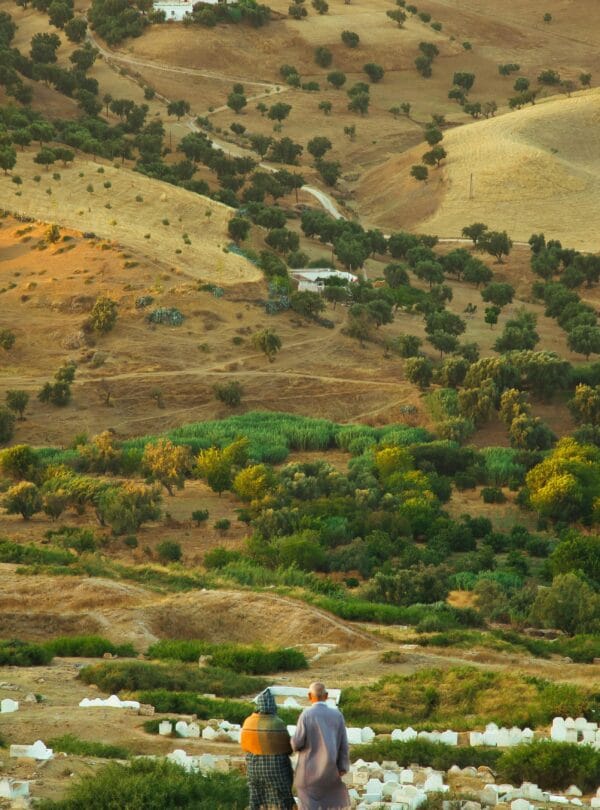 morocco tous