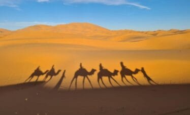 From Fes: 3-Days Sahara Tour To Marrakech